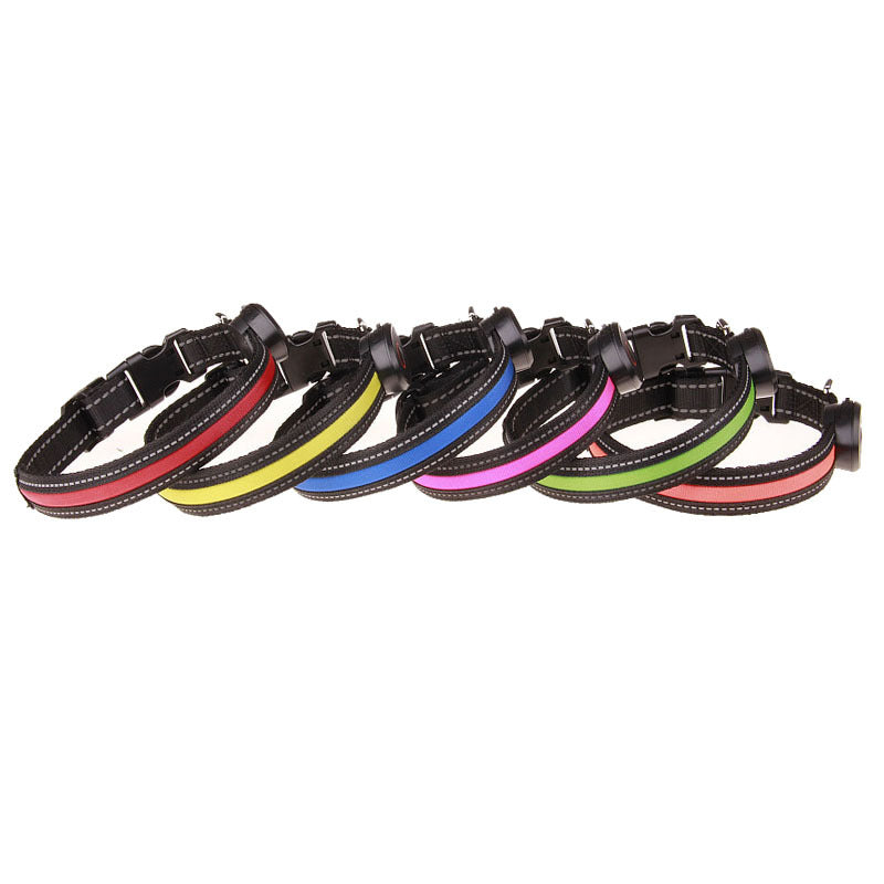 Rechargeable LED Light-Up Dog Collar