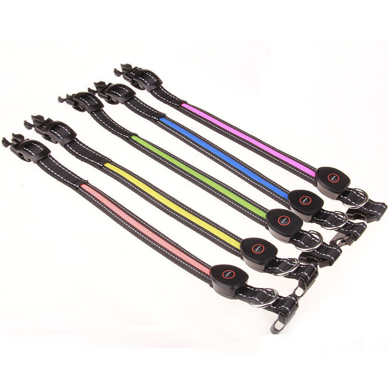 Rechargeable LED Light-Up Dog Collar