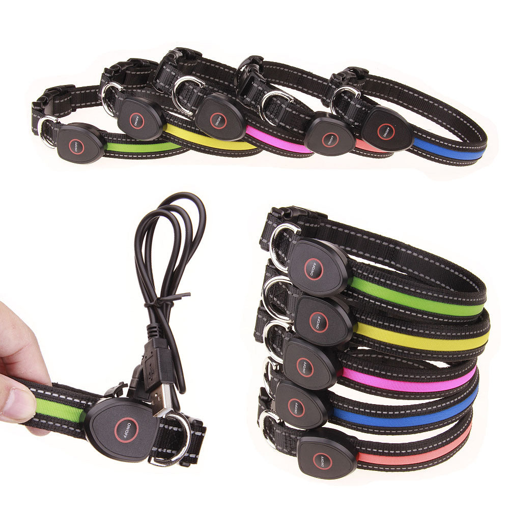 Rechargeable LED Light-Up Dog Collar