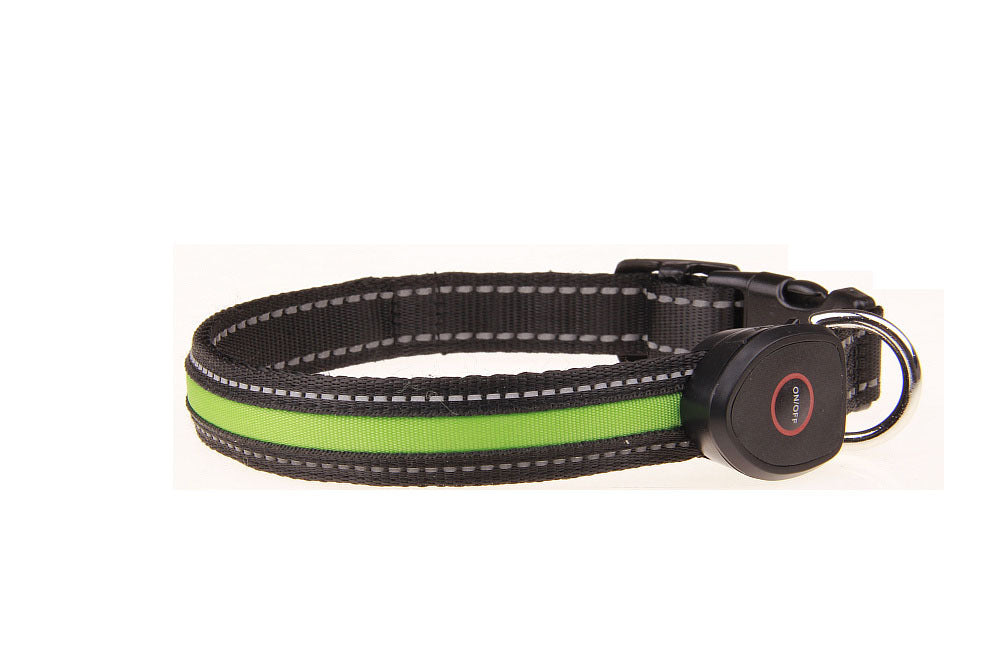Rechargeable LED Light-Up Dog Collar