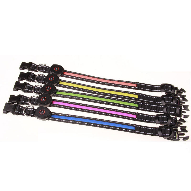 Rechargeable LED Light-Up Dog Collar