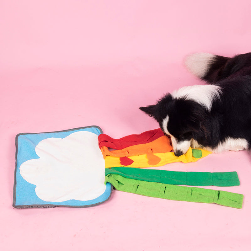 Rainbow Snuffle Mat for Dogs