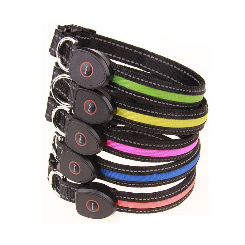 Rechargeable LED Light-Up Dog Collar