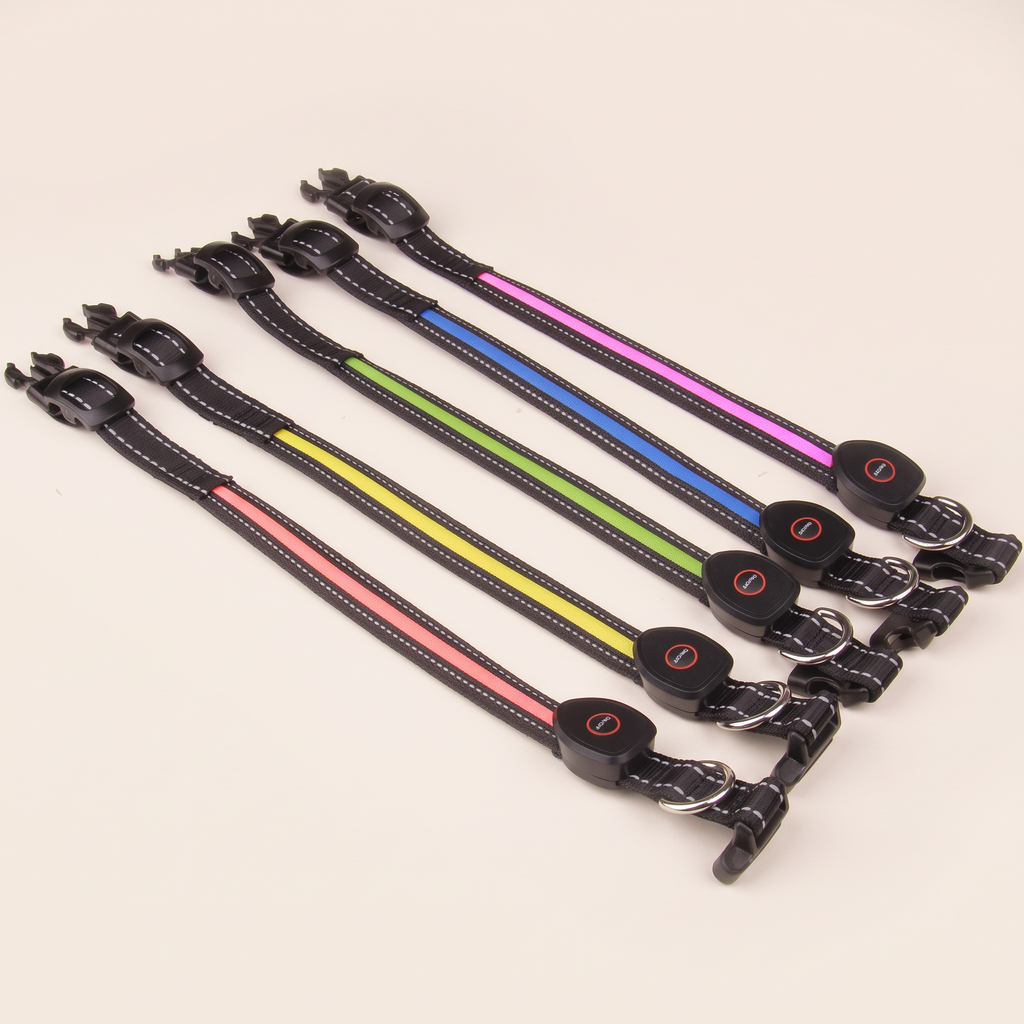 Rechargeable LED dog collar